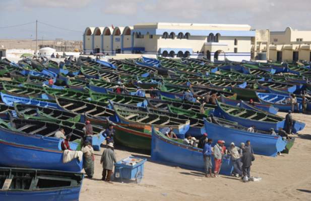 قرار وزارة الصيد في ظل تراجع المخزون.