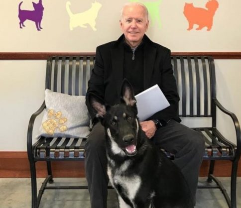 الرئيس الأمريكي المنتخب “بايدن” أصيب  في الكاحل أثناء اللعب مع كلبه