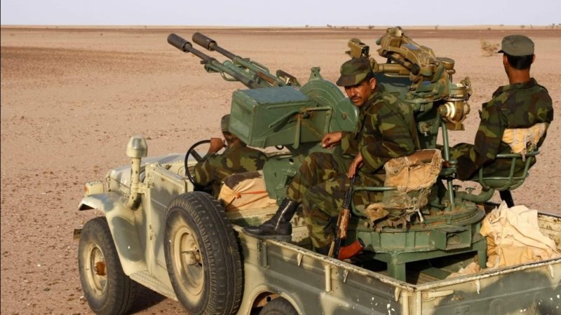 الرد الجزائر ي سيكون تفعيل الدفاع المشترك مع البوليساريو